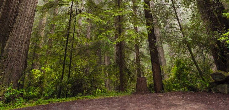 Natuurkampeerterreinen uit Het Groene Boekje